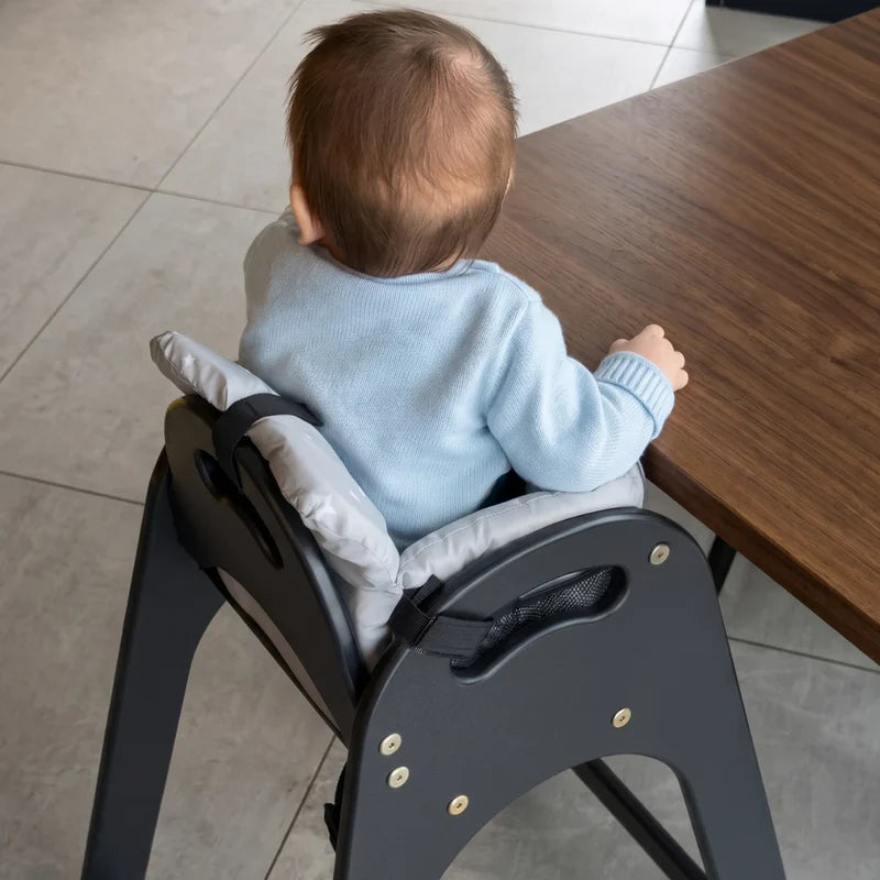 Nova Comfort Seat — 3-in-1 Portable Baby Seat for Carts, High Chairs & Swings